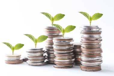 sikke yığını beyaz arka plan üzerinde büyüme