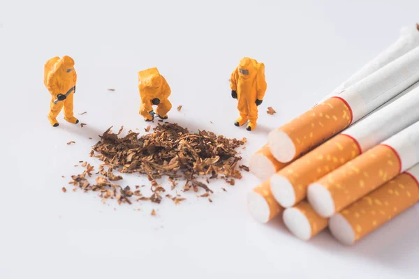 Tecnico in miniatura che controlla i contaminanti nelle sigarette — Foto Stock