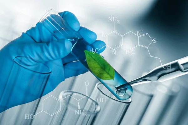 Folha verde em tubo de ensaio de laboratório em mão cientista isolado em — Fotografia de Stock