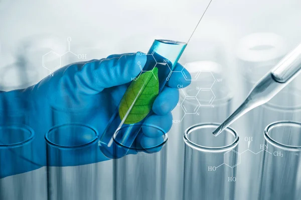 Folha verde em tubo de ensaio de laboratório em mão cientista isolado em — Fotografia de Stock