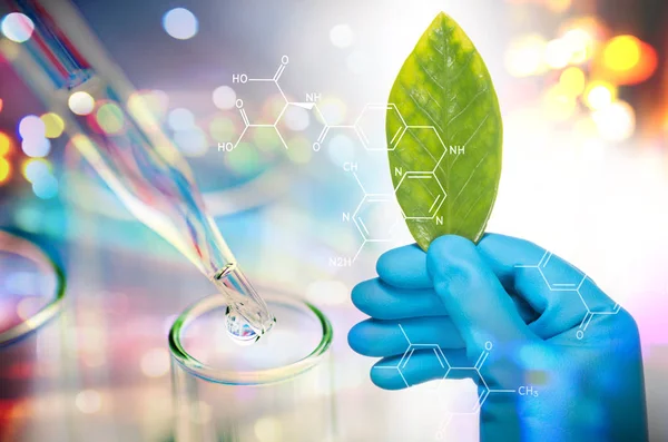 Vetenskapsman hand i blå handske innehar grönt blad, bioteknik — Stockfoto