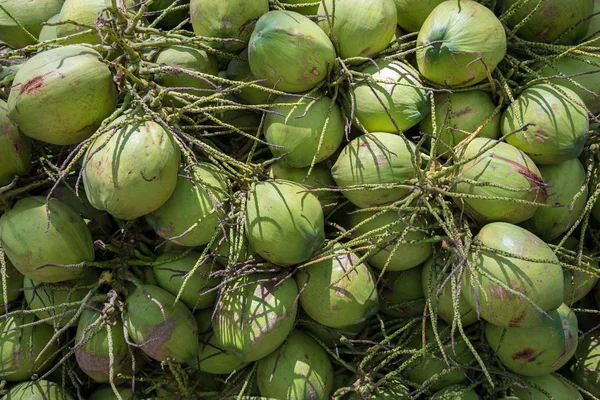 Green coconut for background — Stock Photo, Image