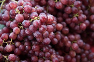 taze kırmızı üzüm demet