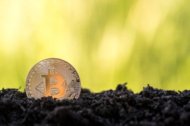 Altın bitcoin büyümek topraktan