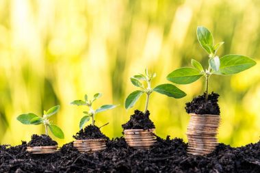 artan dolar para sikke ile Filiz gree ile üst yığını