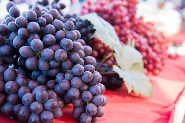 Bunches of fresh black and red grapes — Stock Photo, Image