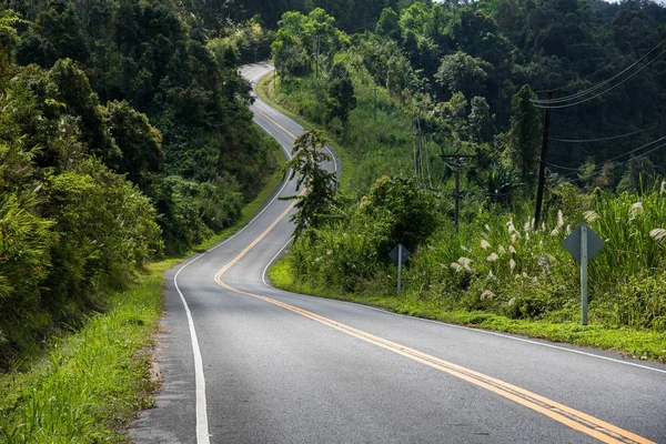 Eğri yol — Stok fotoğraf