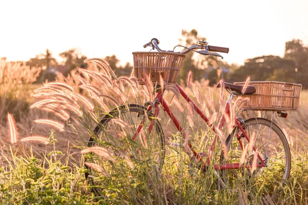 夕暮れの草原の美しい赤ヴィンテージ自転車 — ストック写真