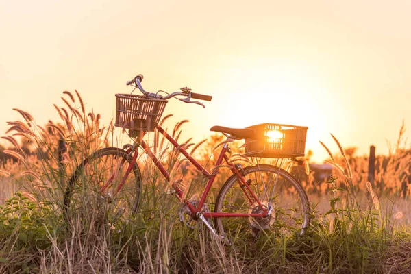 夕暮れの草原の美しい赤ヴィンテージ自転車 — ストック写真