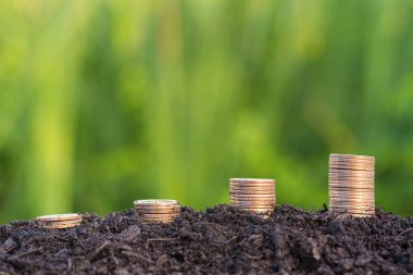 artan dolar para sikke yeşil doğal adam ile yığını