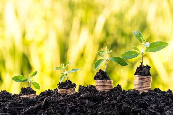 Wachsende Stapel von Dollarmünzen auf der Spitze mit Sprossen mit Gras — Stockfoto