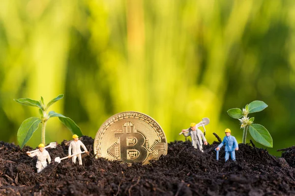 미니어처 농부 필드에서 growning bitcoin 새싹 돌 — 스톡 사진