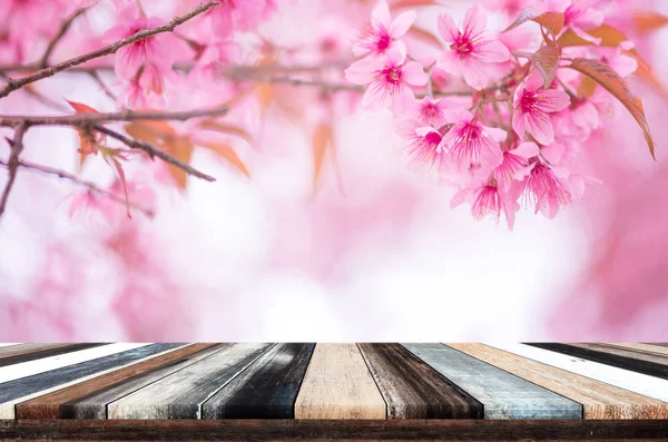 Полка из дерева на красивом розовом цветке дикая гималайская вишня цветок — стоковое фото