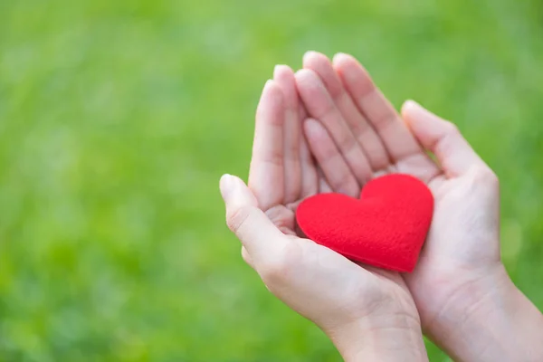 Rött hjärta i kvinna hand på grönt gräs bakgrund — Stockfoto