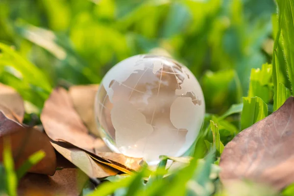 Glass globe on dry leaf and green grass — Stock Photo, Image