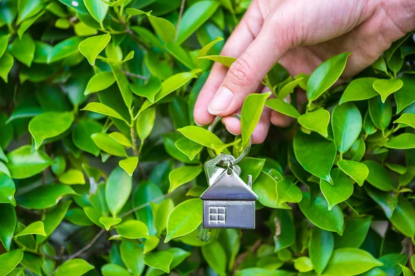 Llave de la casa en la mano de la mujer y hojas verdes fondo — Foto de Stock
