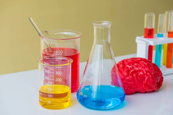 Modelo de cérebro com utensílios de vidro de laboratório, equipamento de laboratório co — Fotografia de Stock