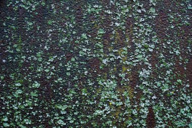 Paslı metal boyanmış doku arkaplanı.