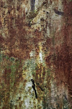 Paslı metal boyanmış doku arkaplanı.