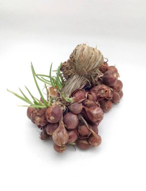 Beyaz arka planda arpacık sebze