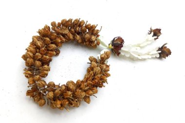 Gül desenli kahverengi kuru garland.