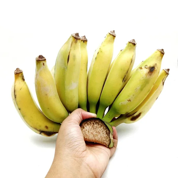 Cultivated Banana Hands on white background. — Stock Photo, Image