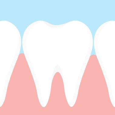 Diş etleri ve dişleri