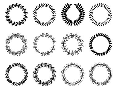 Yaprak defne vektör tasarımı