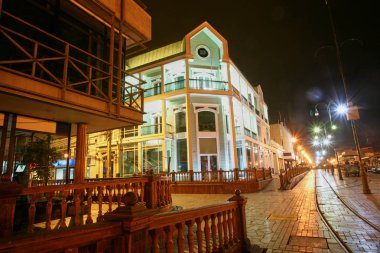  Kuzey Şili, Güney Amerika