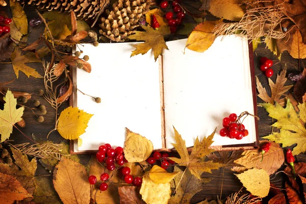 Open book with autumn leaves on wood background — Stock Photo, Image