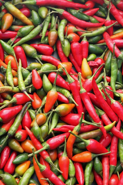 Background of red chilly peppers