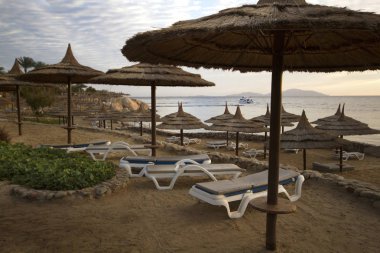 Sahilde Kızıldeniz Sahili Sharm El o saman şemsiye