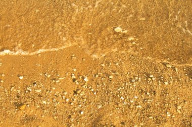 Sandy beach ve dalga yumuşak