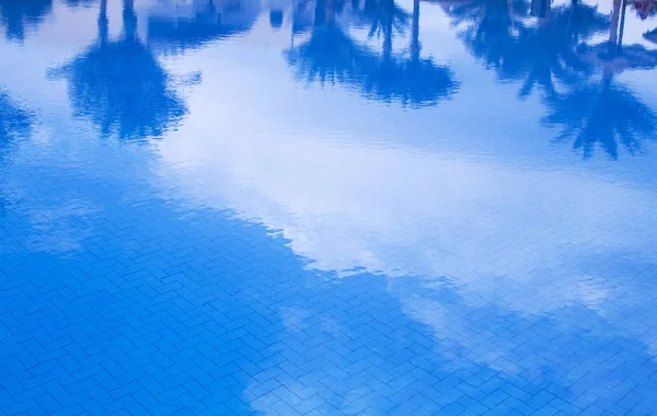 Reflejos de palmeras en el agua azul de una piscina —  Fotos de Stock