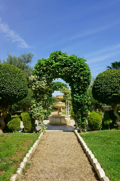 Park med växter med arch — Stockfoto