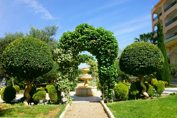 Parco con piante con arco — Foto Stock