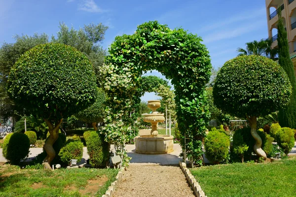 Парк с растениями с аркой — стоковое фото