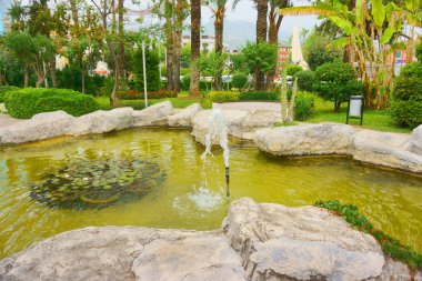 bitkiler ile yeşil park