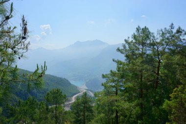 manzara orman, dağ, nehir