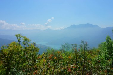 manzara orman, dağ, nehir