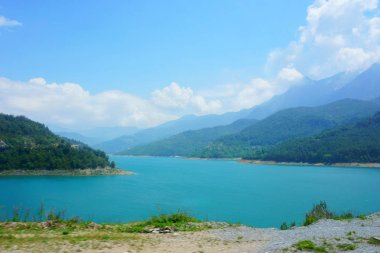 manzara orman, dağ, nehir