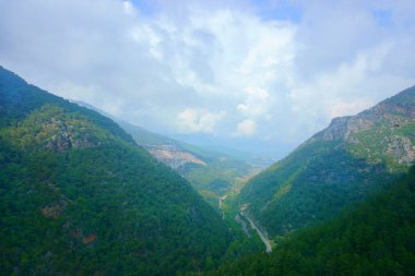 manzara orman, dağ, nehir