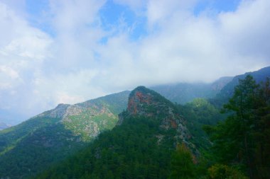 manzara orman, dağlar