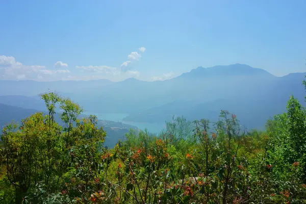 Paisaje bosque, montañas, río — Foto de Stock