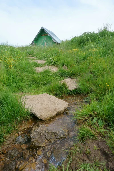 Weg aus Steinen, Gras — Stockfoto