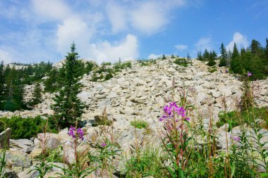 manzara, dağlar, gökyüzü, orman, taşlar