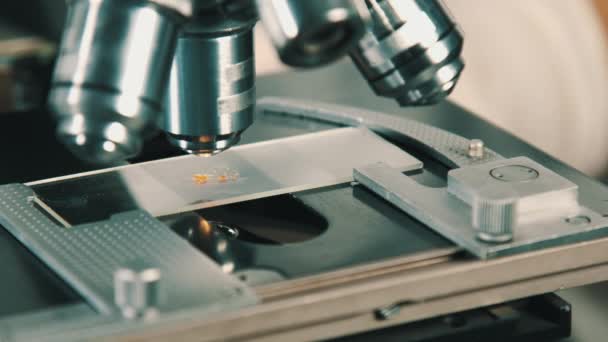 Microscope en laboratoire .