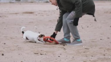 Deniz kıyısında köpekle oynamayı kadın