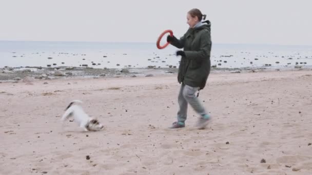 Femme jouant avec le chien sur le rivage de la mer — Video