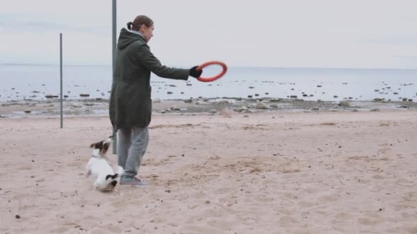 Kvinna leker med hunden på havsstranden — Stockvideo